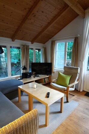 Fernseher