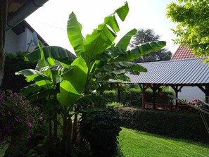 Property grounds - Apartment FO-18 by Interhome (Fonyód)