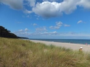 Een strand met grasduinen, een heldere lucht en de oceaan op de achtergrond.