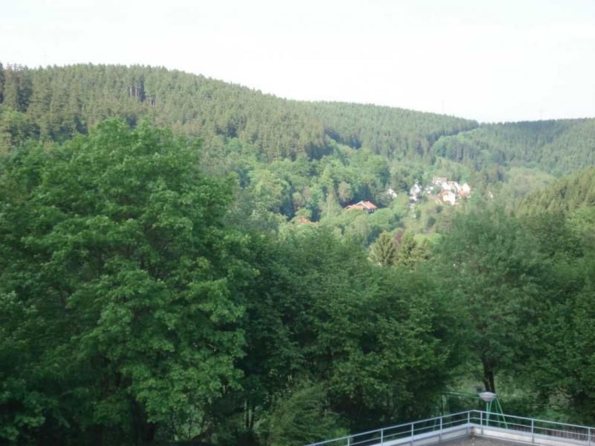 A forested mountain area with a small building visible in the distance.