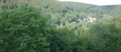 A forested mountain area with a small building visible in the distance.