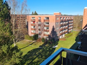 Property grounds - Fewo Jola 99952 by Interhome (Altenau)