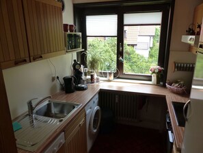 Fridge, microwave, oven, dishwasher - Fewo Burgbergblick by Interhome (Bad Harzburg)