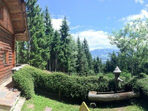 Property grounds - Silbertannenhütte by Interhome (Zlan)