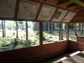 Property grounds - Fewo Harzblick by Interhome (Bad Harzburg)