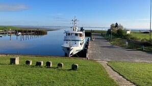 Un bateau était amarré dans une étendue d’eau calme, avec une zone herbeuse au premier plan et un ciel dégagé.