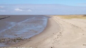 Una playa con un sendero arenoso que lleva al agua, cielo despejado y un horizonte lejano.