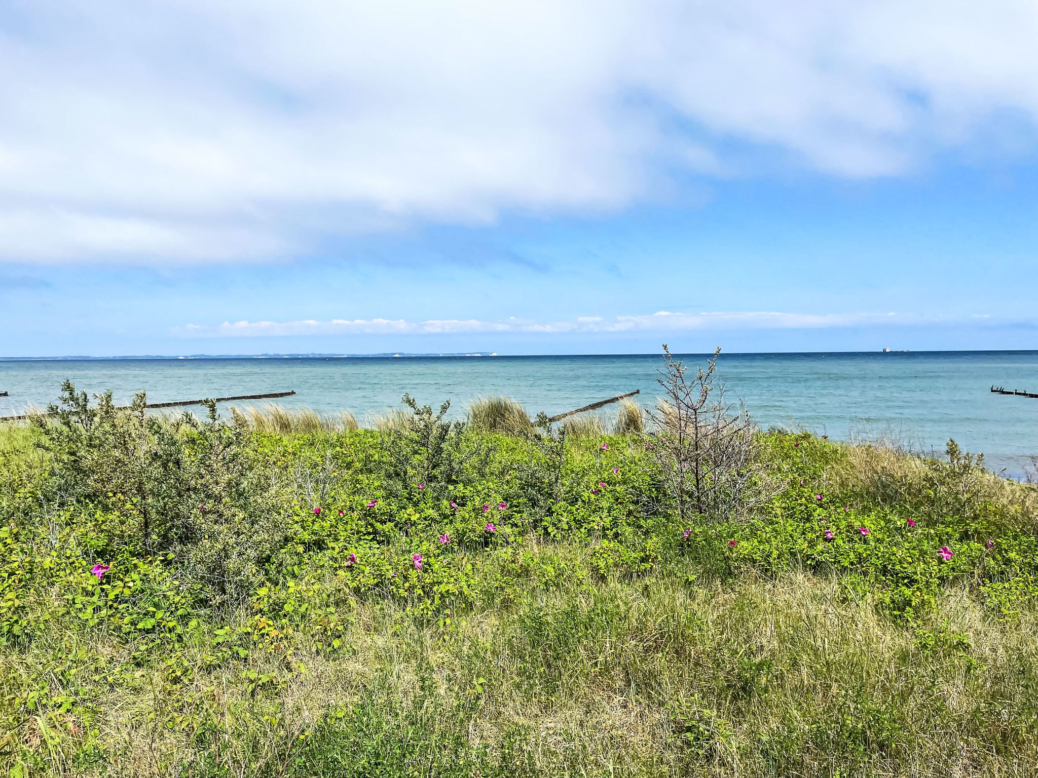 Eine Küstenlandschaft mit Blick auf das Meer, Grasbewuchs und einem klaren Himmel.