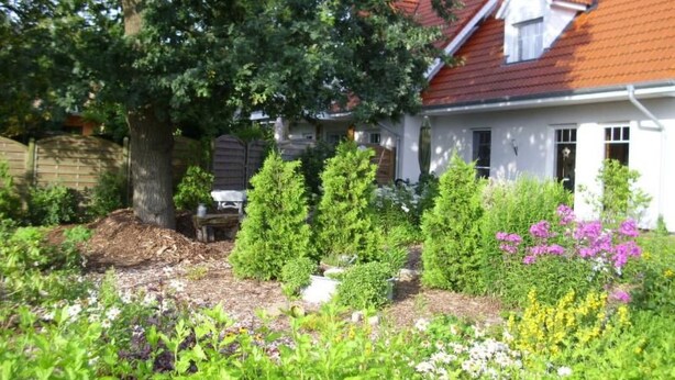 A white house with a red roof, surrounded by a garden with various plants and flowers. - Wohnung in Abbehausen - Ellwürden by Interhome (Abbehausen)