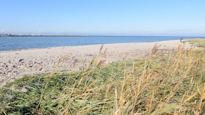 Ein Strand mit sandigem Ufer und grasbewachsenen Dünen im Vordergrund.