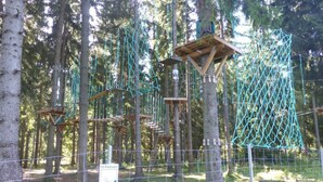 A forested area with rope bridges and wooden platforms. - Gretelhaus by Interhome (Auerbach)