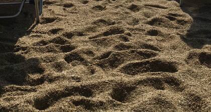 mit Terrasse by Interhome