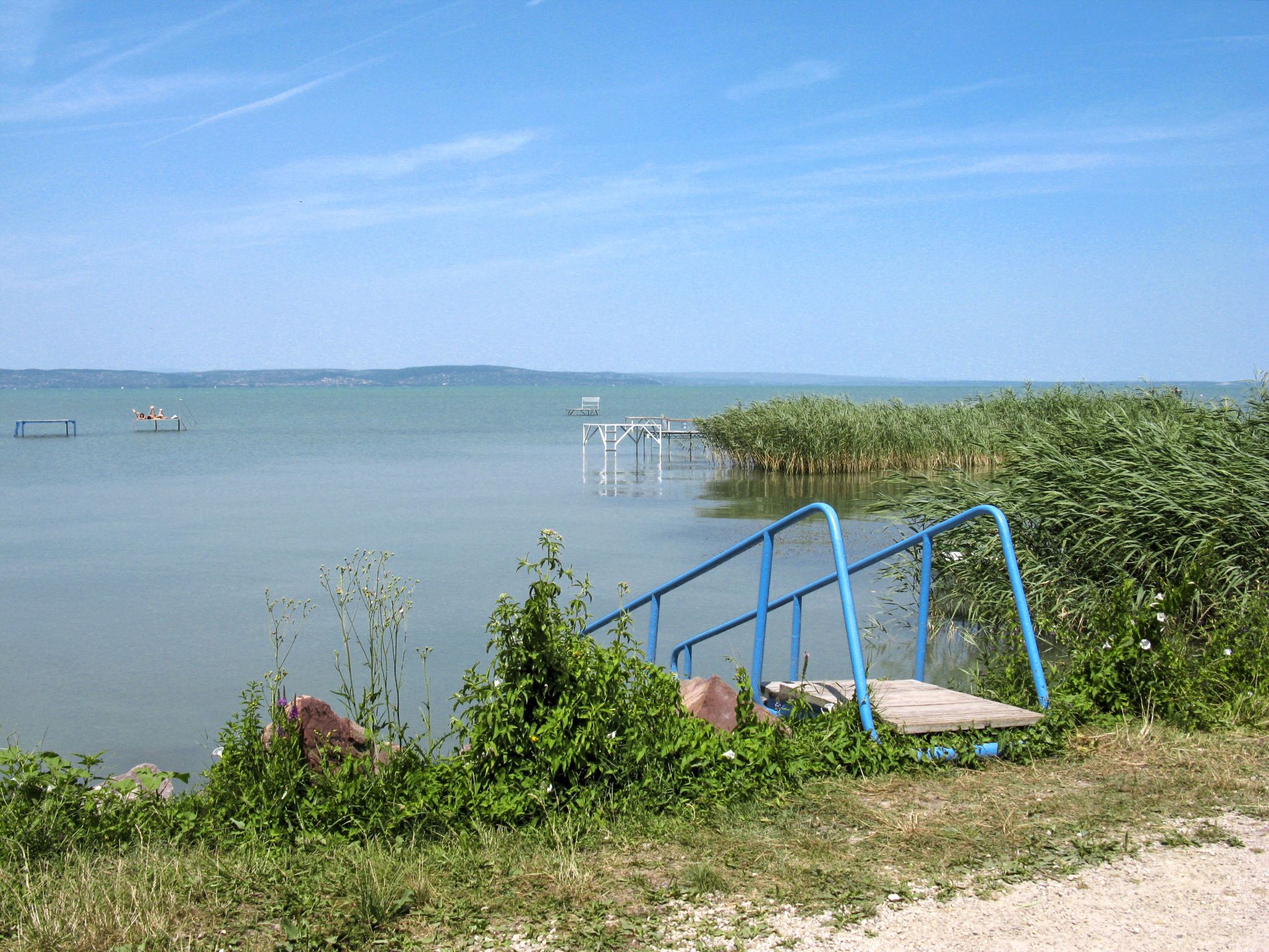 A lakeside view with a wooden dock and blue metal stairs leading into the water.