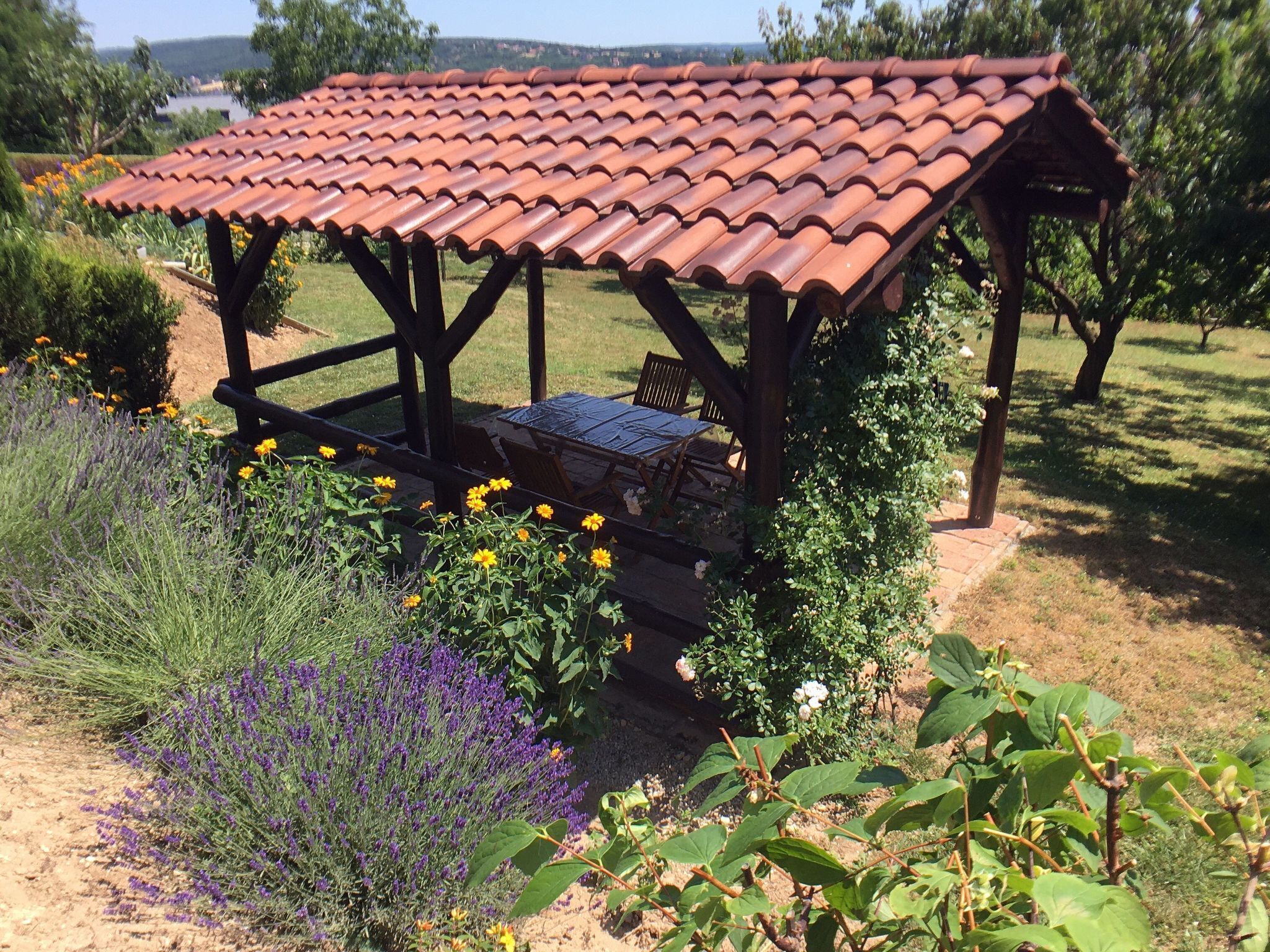 Parco della struttura