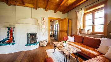 Télévision, cheminée, lecteur de DVD