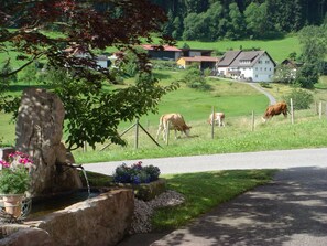 Property grounds - FeWo TALBLICK by Interhome (Baiersbronn)