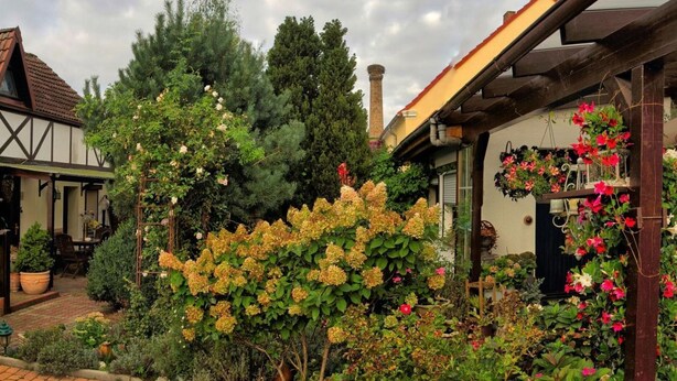 A garden with a variety of plants and flowers, a traditional building with a sloped roof, and a chimney. - Appartement in Meiersberg mit Grill by Interhome (Altwarp)