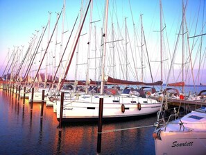 Marina