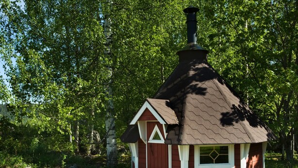 En liten, röd trästuga med en skorsten, omgiven av frodiga, gröna träd.