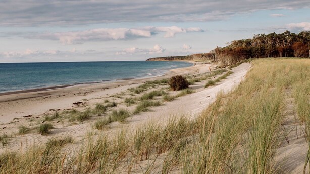 Una spiaggia con dune sabbiose e vegetazione rada.