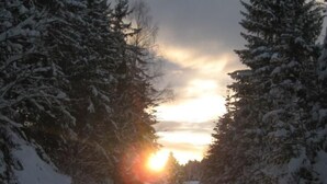 A snow-covered path flanked by evergreen trees leading to a sunset.