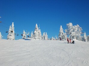 Sneeuw- en skisporten
