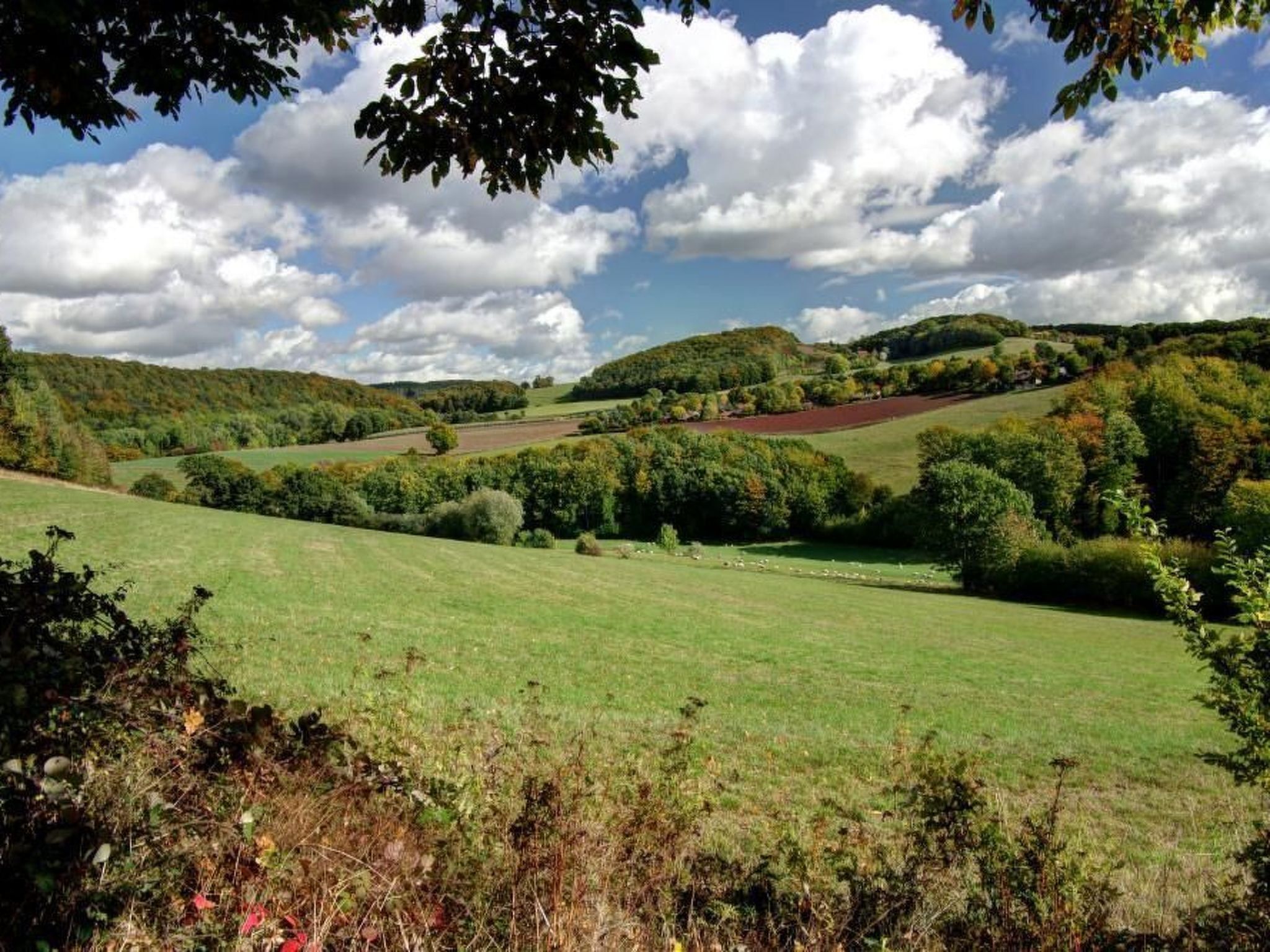 A rural landscape with rolling hills, fields, and scattered trees.