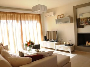 Televisión, chimenea y reproductor de DVD 