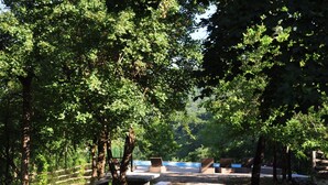 Ein Campingplatz mit Picknicktischen und Bänken, umgeben von Bäumen.