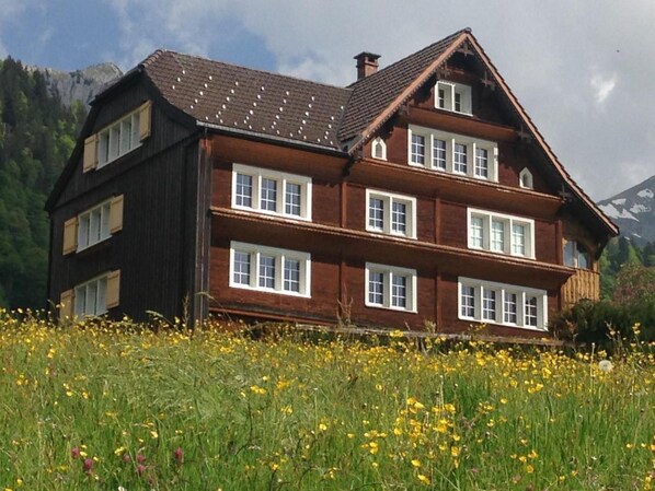 A traditional wooden house with multiple windows and a sloped roof, surrounded by a field of yellow flowers and mountains in the background.