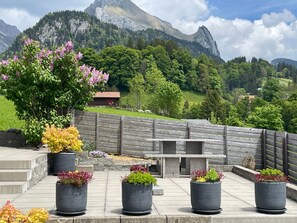 A patio area with potted plants, a wooden fence, and a mountain view.
