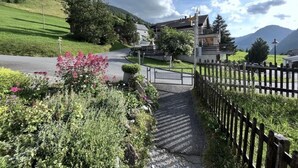 A rural road leading to a house with a fenced yard and a mountain in the background.