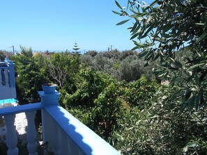 Property grounds - Meltemia-Studie Samos ASPRES by Interhome (Kampos Marathokampos)