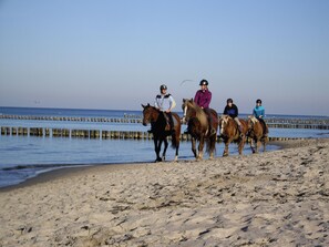 Beach - Dat Stammhus by Interhome (Bodstedt)