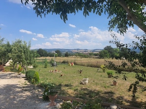 Property grounds - Unterkunft Santa Lucia bei Holiday World by Interhome (Cercepiccola)