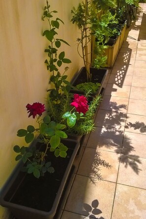 Property grounds - Wohnung an der Scala dei Turchi by Interhome (Alessandria della Rocca)
