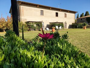 Property grounds - Schönes Ferienhaus in Volterra mit Großem Garten by Interhome (Volterra)