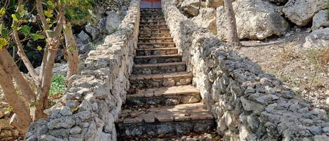 Overnattingsstedets uteområder