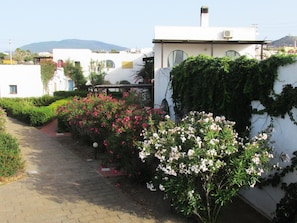 Unclassified image, 5 of 30, button - Stammes-Suite by Interhome (Pantelleria)