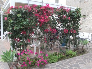 Terrace/patio - Wohnung 'Blue 236' in Strandnähe by Interhome (Eolie Lipari)