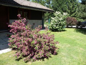 Property grounds - Chalet, Dil Arom, geschlossener Garten by Interhome (Champex)