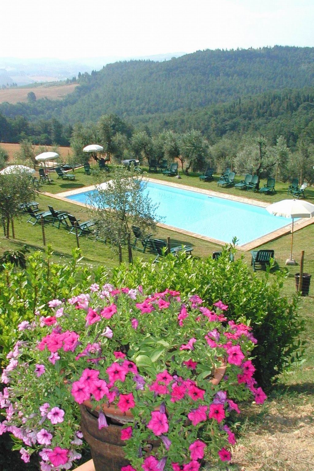 Alberca