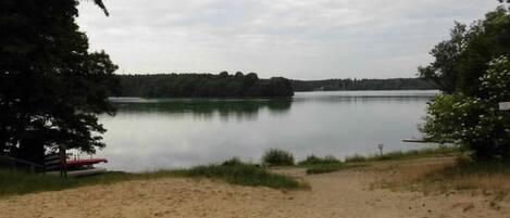 Zona de playa arenosa con un lago tranquilo, rodeada de árboles y una costa lejana.