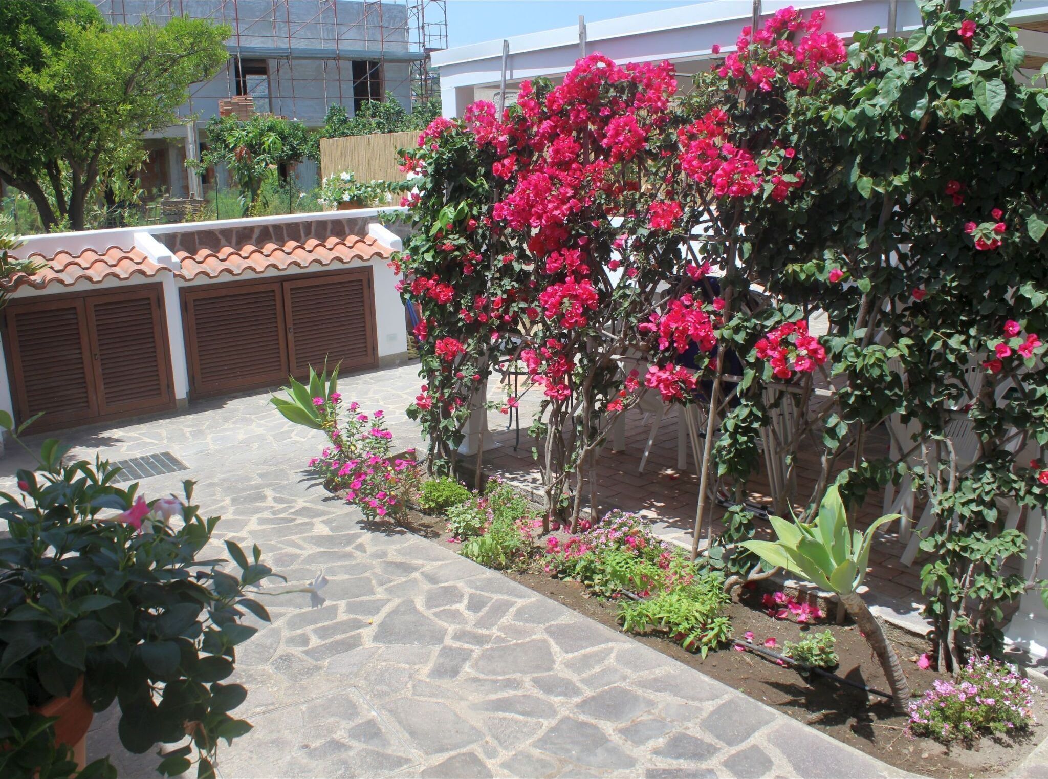 Terrain de l’hébergement 