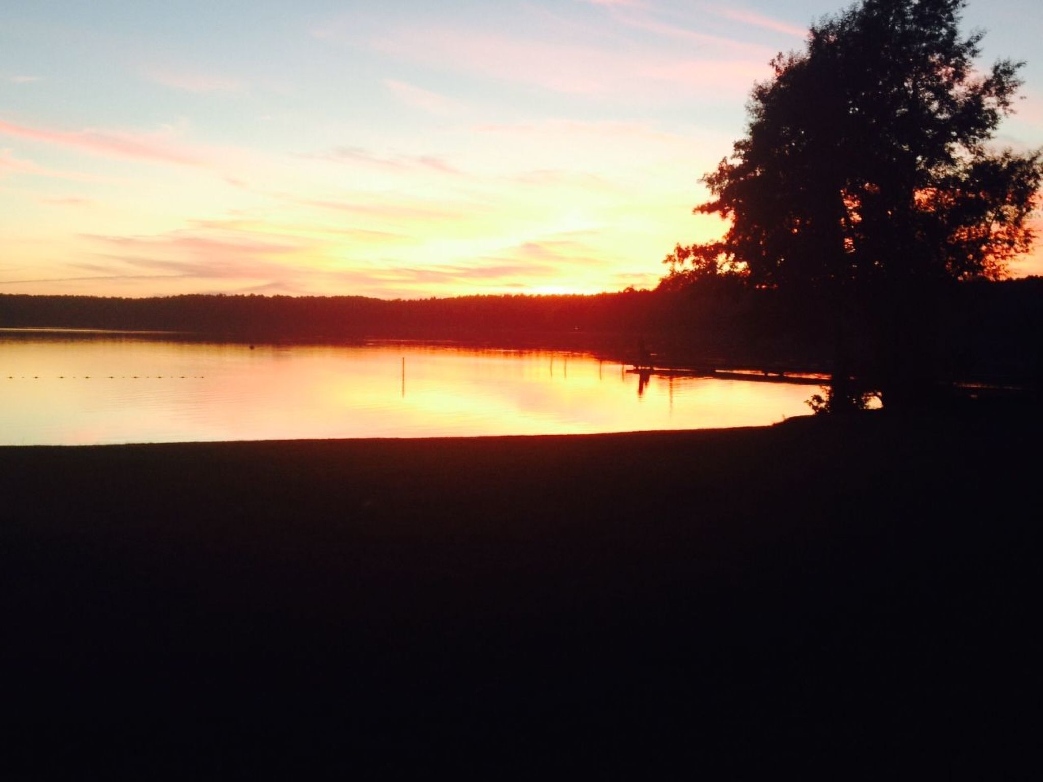 Un atardecer sobre un lago tranquilo, con la silueta de un árbol a la derecha.