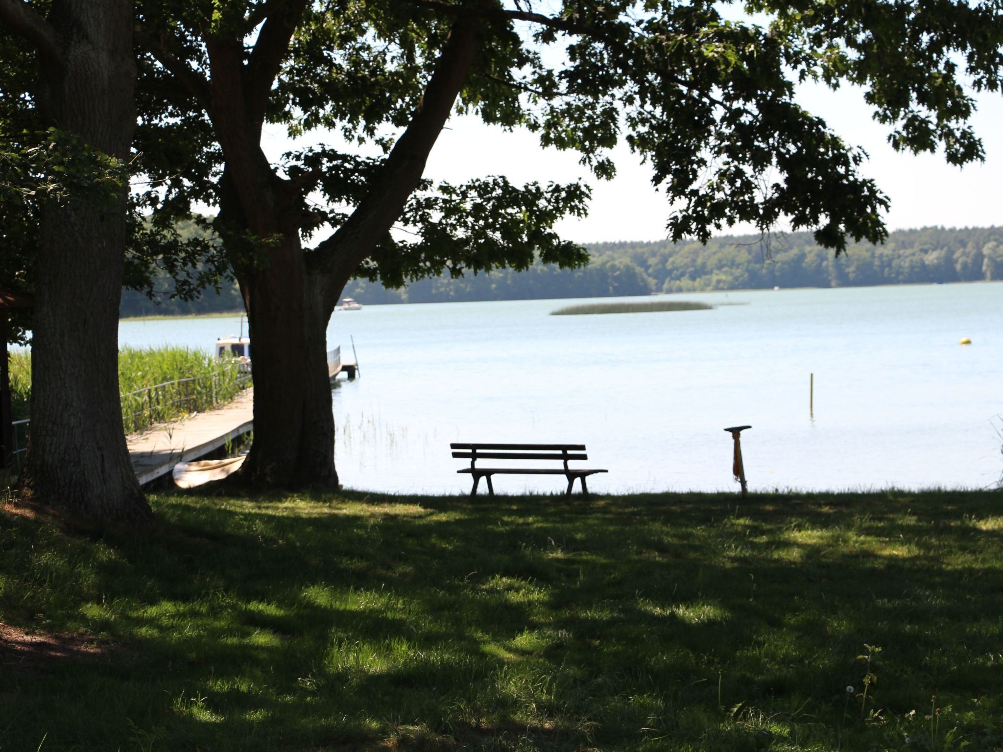 A bench by a lake with a tree providing shade.