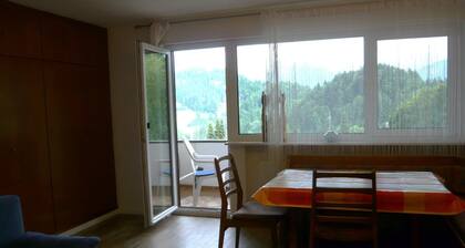 Falkenhorst Wh 40 by Interhome