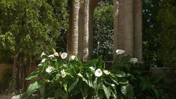Parco della struttura