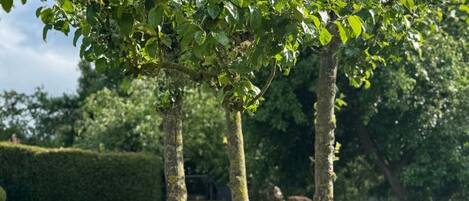 المنطقة المحيطة بالمنشأة