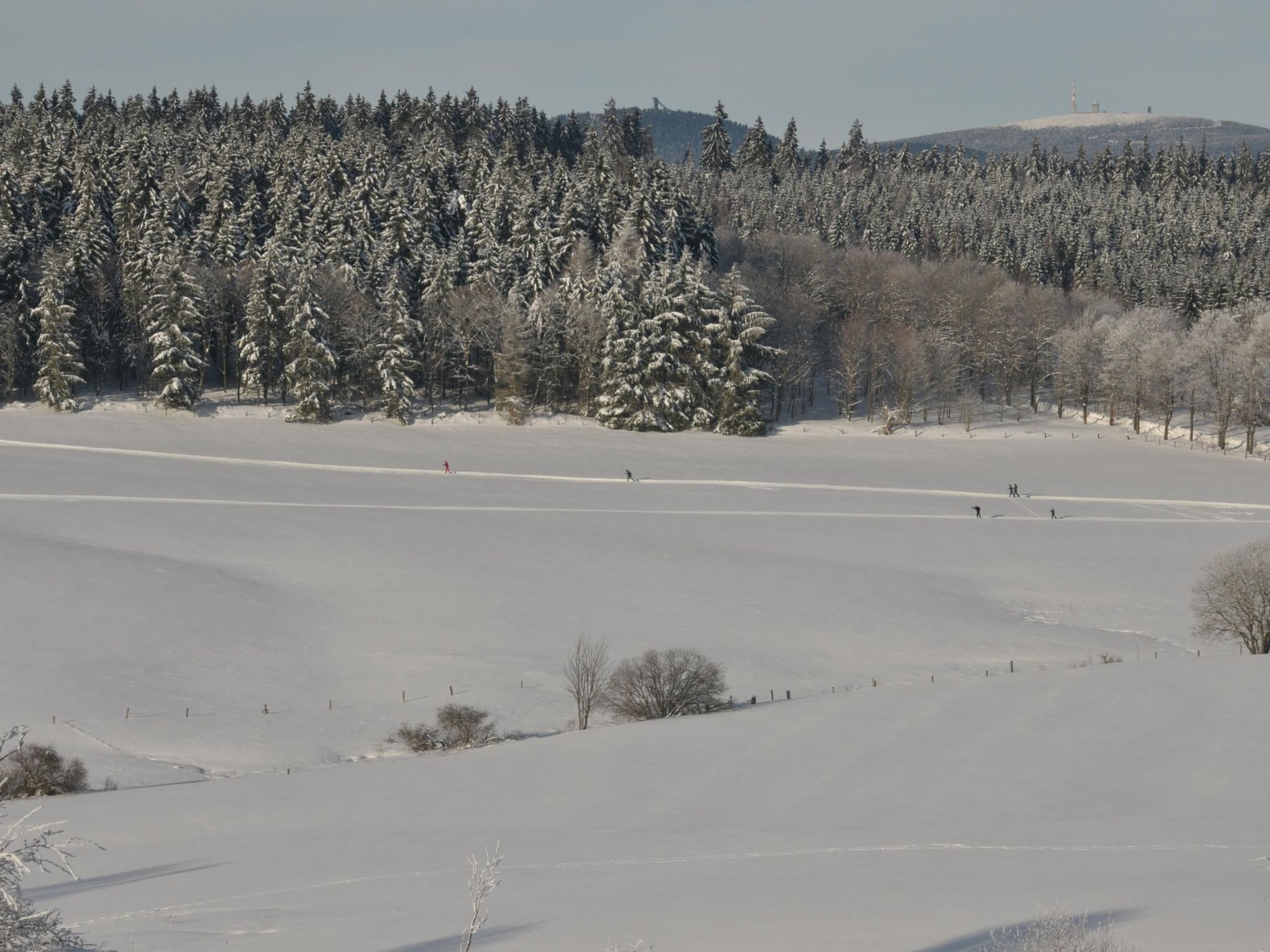 Paisaje nevado con una zona plana y despejada, posiblemente una pista de esquí, rodeada de densos árboles de hoja perenne.